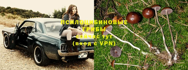 мескалин Кукмор