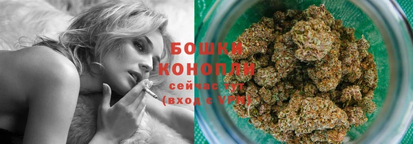 прущие крисы Кулебаки
