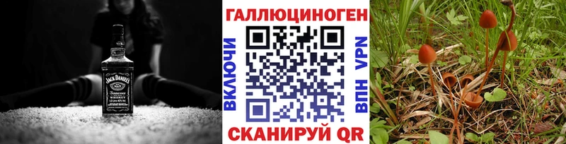 Галлюциногенные грибы Psilocybine cubensis Пустошка